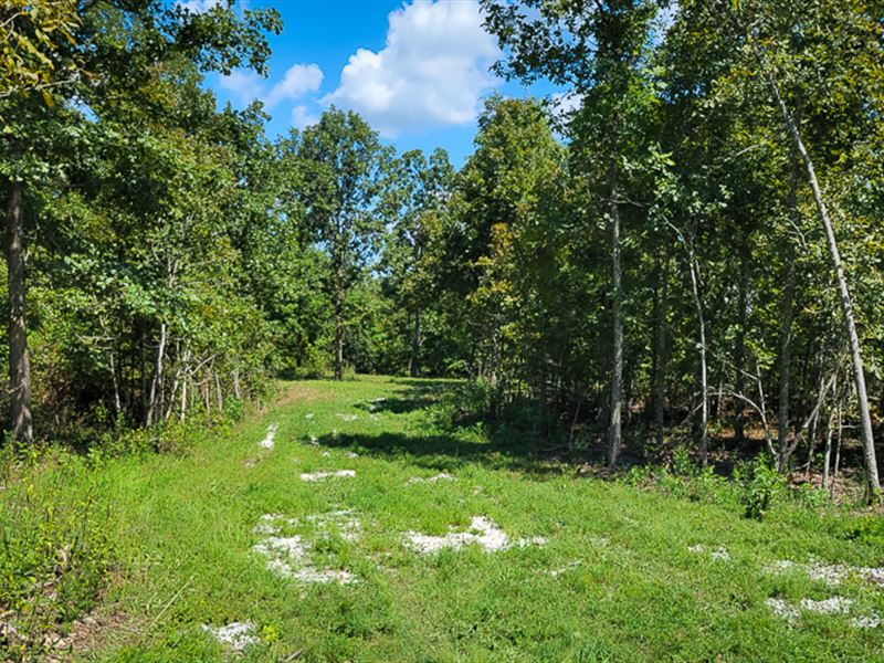 Private with Circle Driveway : Brandsville : Howell County : Missouri