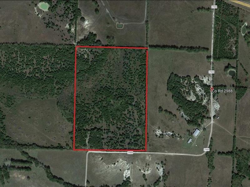 Unrestricted Acreage : Honey Grove : Fannin County : Texas