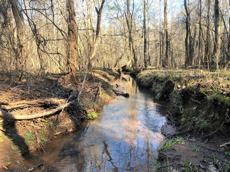 Falling Creek Timberland-202Ac : Hillsboro : Jasper County : Georgia