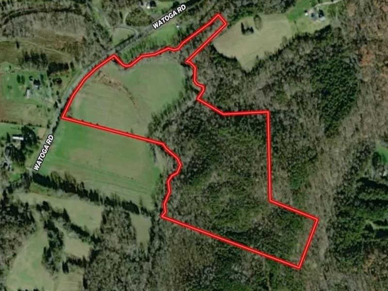29.38 Acres of Re : Dillwyn : Buckingham County : Virginia