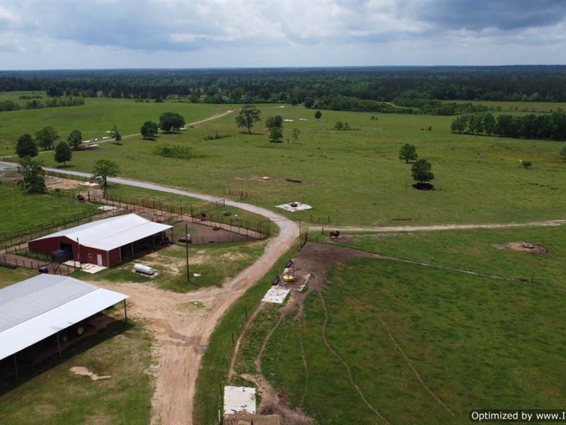 513 AC Cattleman's Dream : Poplarville : Pearl River County : Mississippi