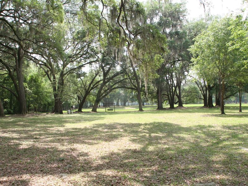 11.1 Acres in Lake City : Lake City : Columbia County : Florida