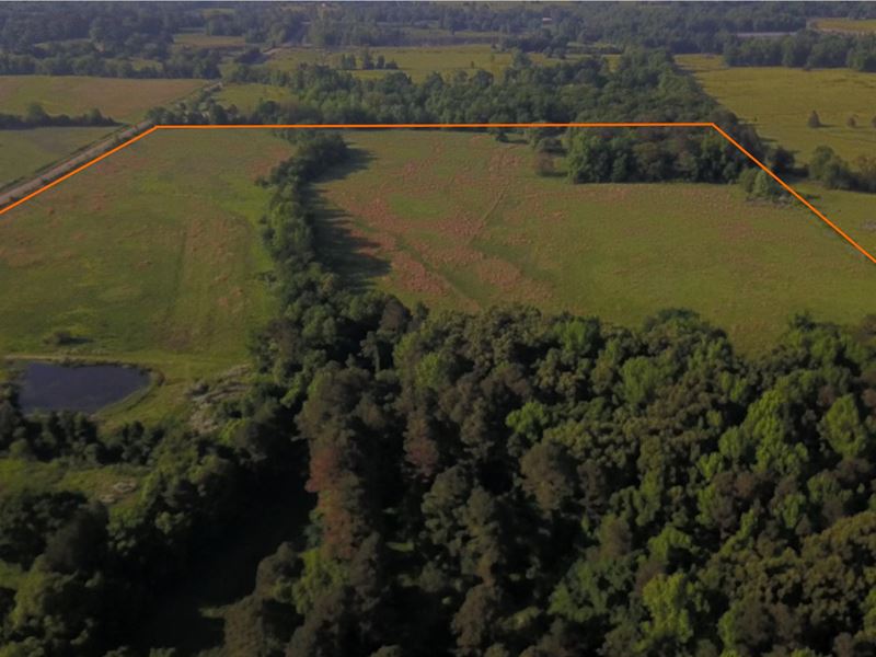 Combination Pasture and Wooded : Clarksville : Johnson County : Arkansas