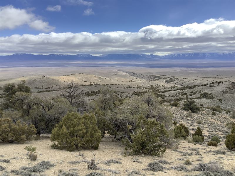 Desert 10 Ac on Murdock Mountain : Montello : Elko County : Nevada