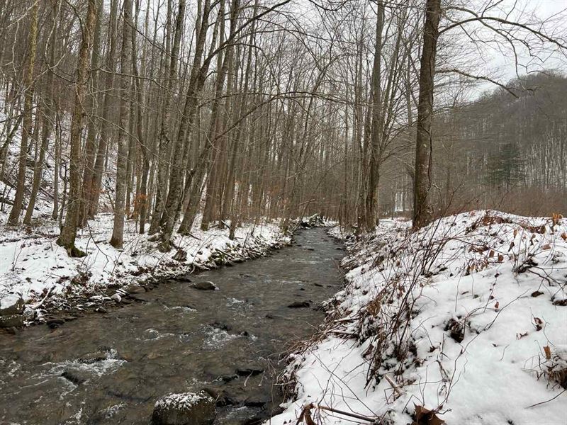 77.2 Acres in Raleigh County, WV, Farm for Sale by Owner in West