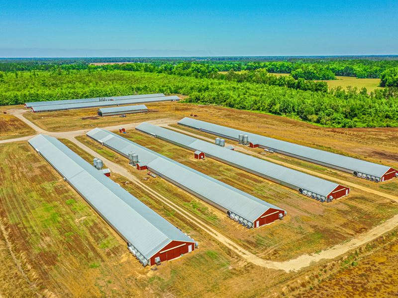 Active Poultry Farm in Rowland, NC, Farm for Sale in North Carolina