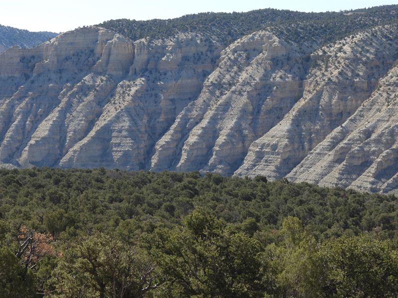 Strawberry River Road Overlook, Farm for Sale in Utah, 321504 FARMFLIP