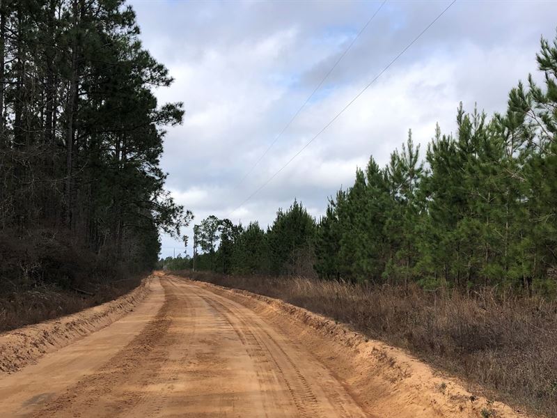 Moores Chapel Road Tract : Mauk : Marion County : Georgia