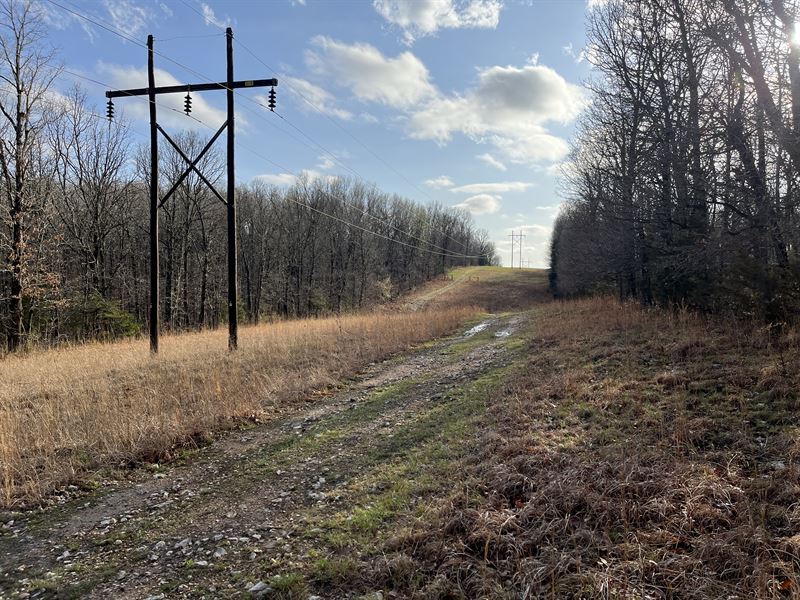 40 Acres of Hunting and Recreation : Lebanon : Laclede County : Missouri
