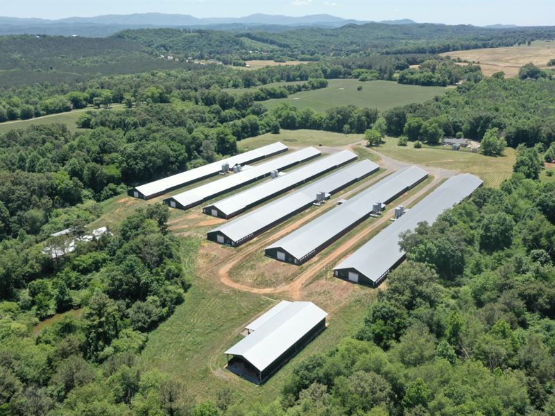 McConnell Broiler Farm : Ocoee : Polk County : Tennessee