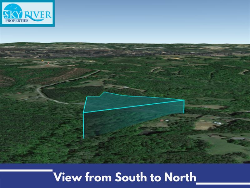 14 Ac Lot for Sale, Caswell County : Yanceyville : Caswell County : North Carolina