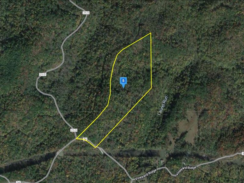 32 Ac for Sale in Roane County, WV, Farm for Sale by Owner in West