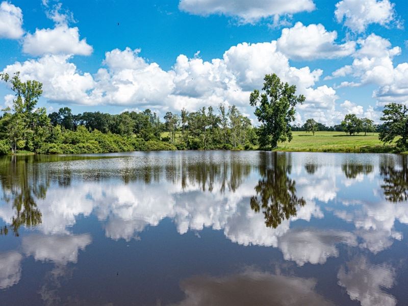 Driven Farms Ranch : Milledgeville : Baldwin County : Georgia
