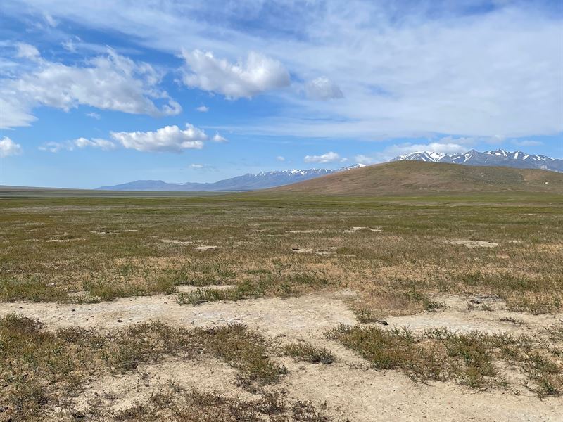 Where Does Your Garden Grow : Montello : Elko County : Nevada