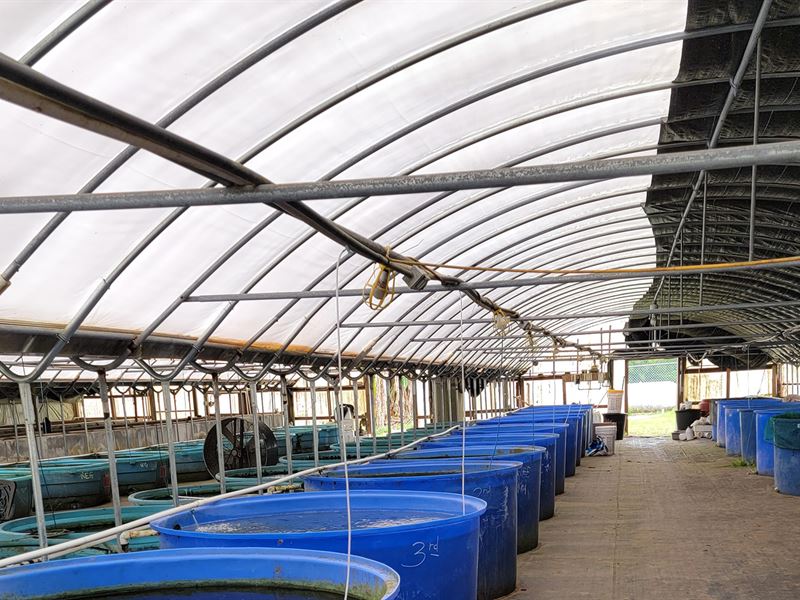 6.82 Acre Tropical Fish Farm : Dade City : Polk County : Florida