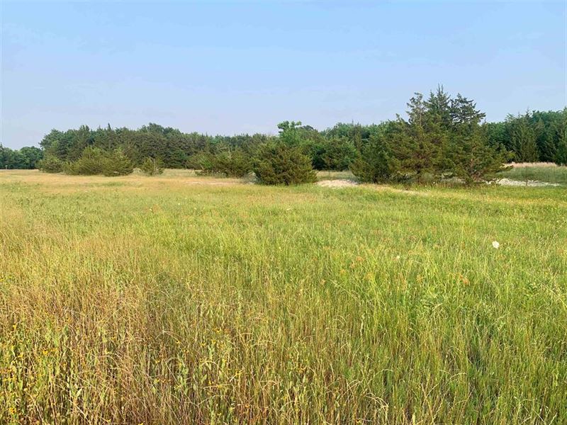 Pond, Wildlife, and Woods : Clarksville : Red River County : Texas