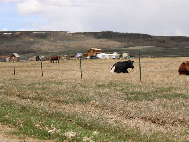 Elk Horn Ranchette : Daniel : Sublette County : Wyoming