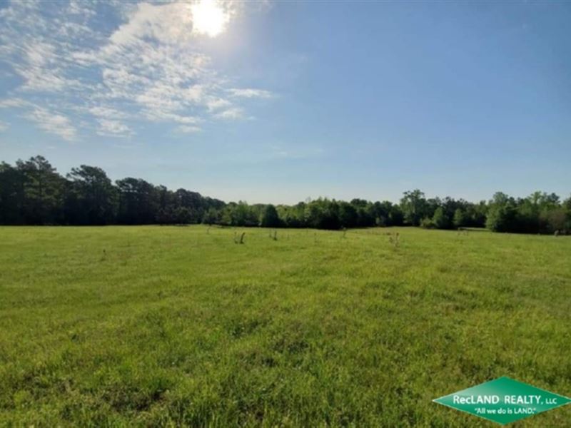 30.8 Ac, Two 15.4 Ac Rural Tracts : Cushing : Rusk County : Texas