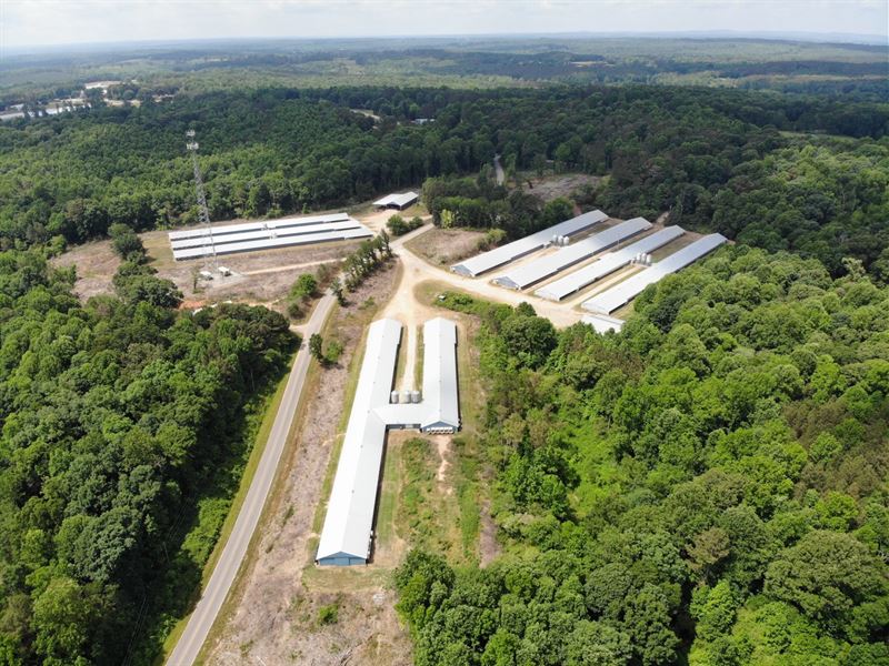 Thomas Road Farm : Bowdon : Carroll County : Georgia