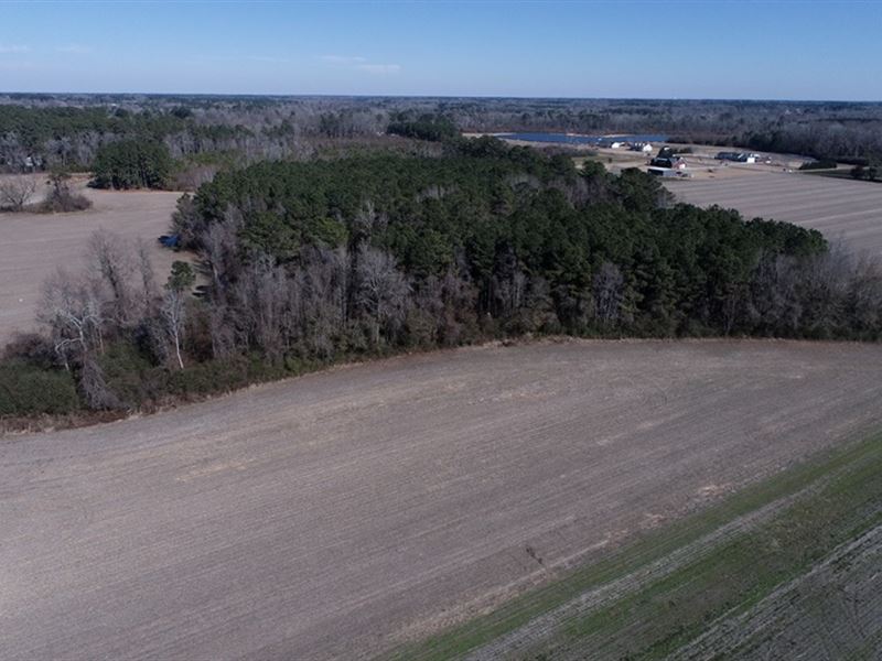 Mini Farm with Potential Home Sites : Fairmont : Robeson County : North Carolina