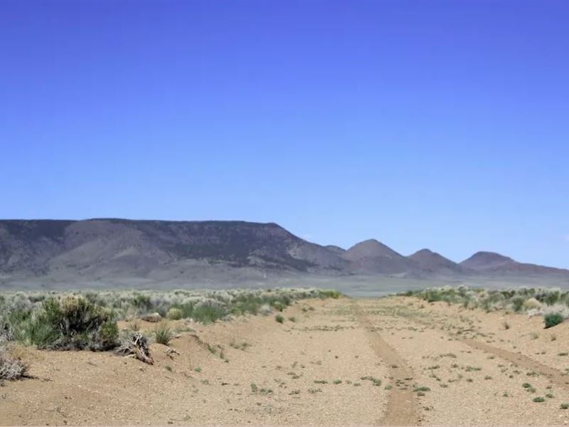 4 Lands Near Rio Grande River : Alamosa : Costilla County : Colorado