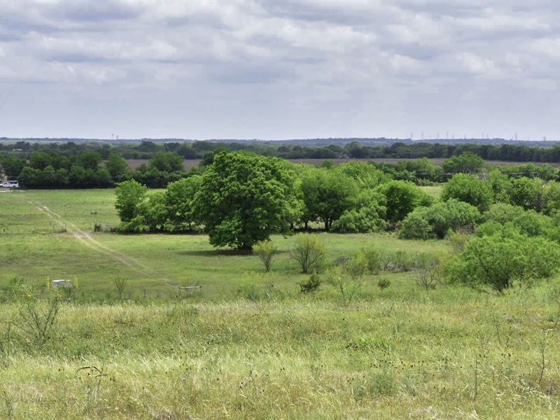 Luxury Acreage with Owner Financing, Farm for Sale in Texas, 322040