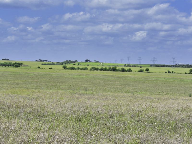 10 Luxury Acre Tract Near Austin : Martindale : Guadalupe County : Texas