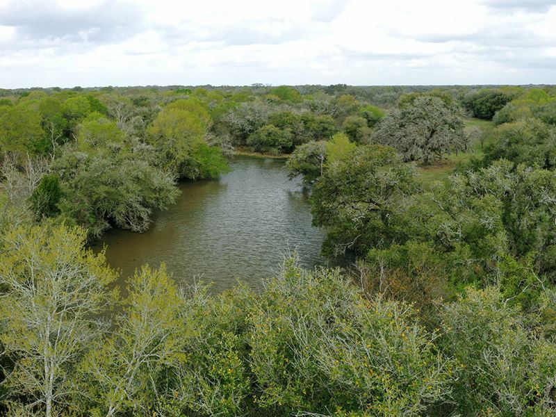 Incredible Bulk Texas Land Deal : Columbus : Colorado County : Texas
