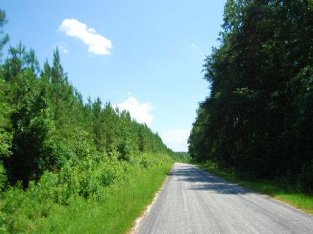 56 Acres Hunting Land : Pacolet : Union County : South Carolina