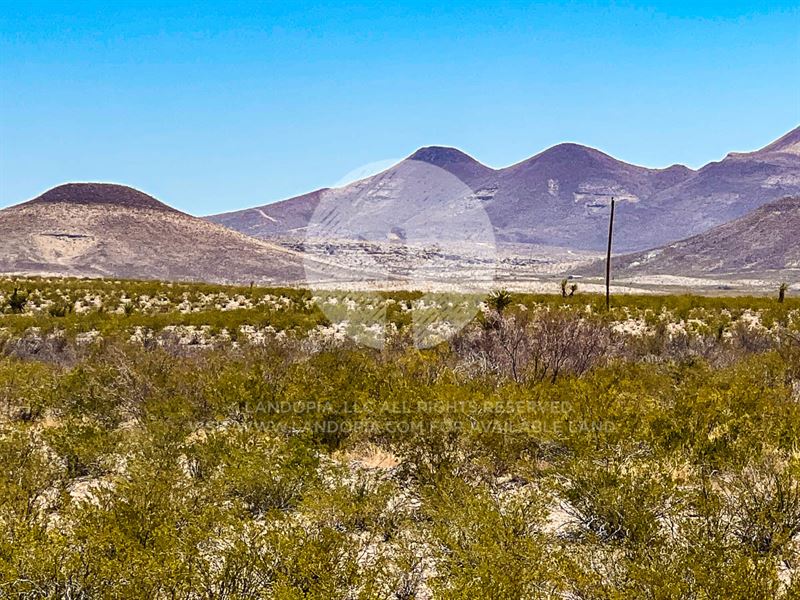 Head on Over to The Big Bend : Alpine : Brewster County : Texas