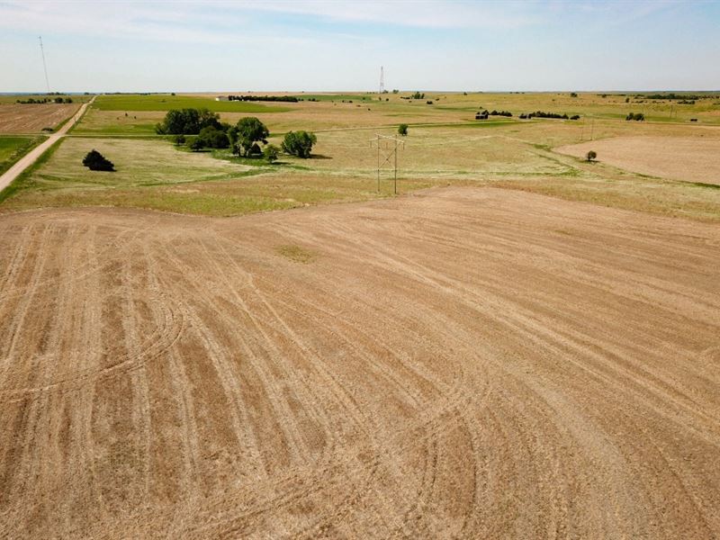 West Barton County Farm And Hunt : Pawnee Rock : Barton County : Kansas