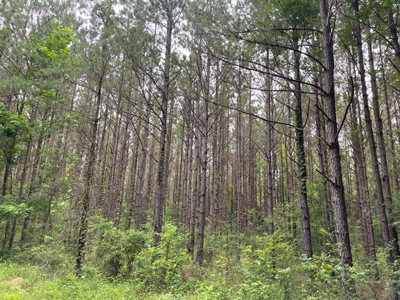 Georgetown, Southwest 50 : Georgetown : Copiah County : Mississippi