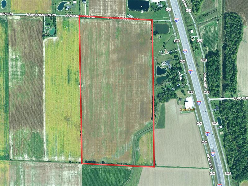80 Ac Vacant Land, Wood County, OH : North Baltimore : Wood County : Ohio