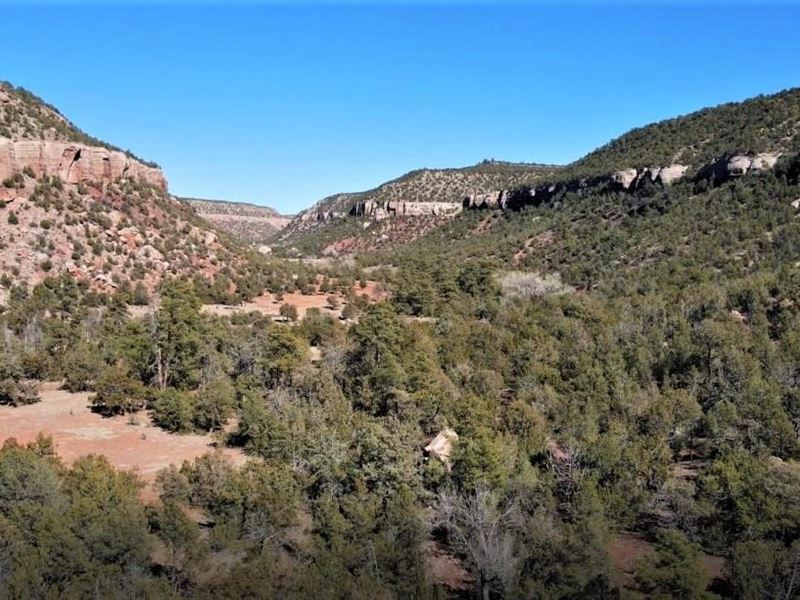 Sabinoso 483 Ranch : Trujillo : San Miguel County : New Mexico