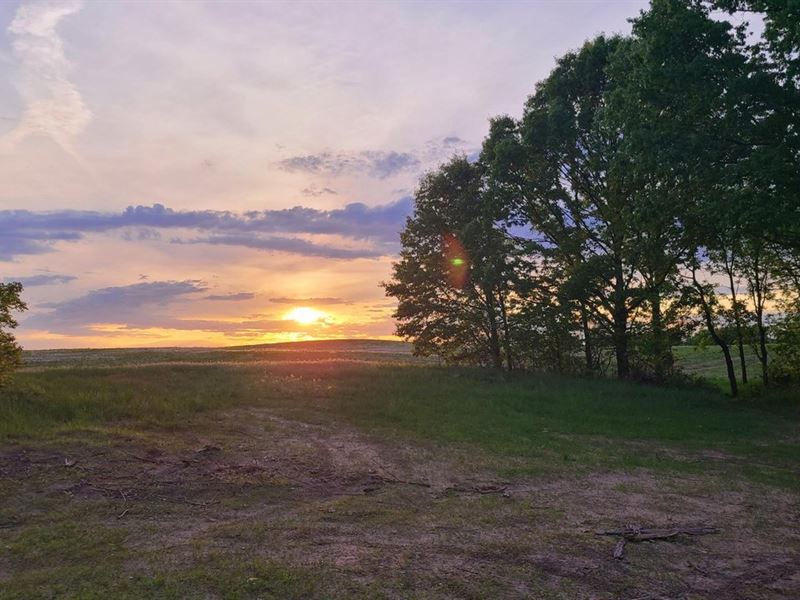 90+ Acres St Joseph County : Sturgis : Saint Joseph County : Michigan