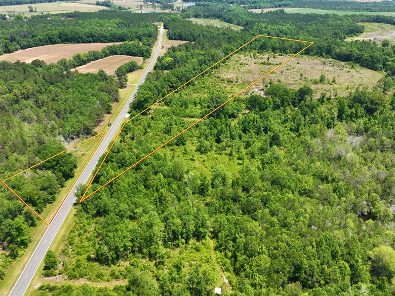 19+ Acres 0 Friendship Church Rd, Farm for Sale in 322466