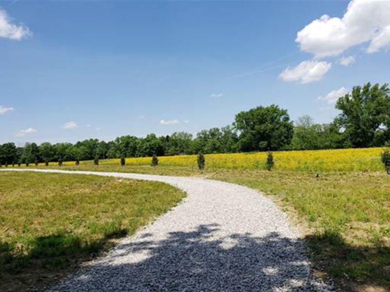 Gorgeous Executive Home Site : Sunbury : Delaware County : Ohio