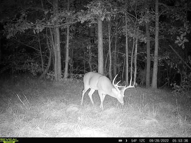 Ms, Hinds 68 Acres : Dry Grove : Hinds County : Mississippi
