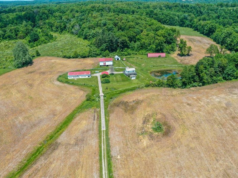 Laurel Hill Rd, 35 Acres, Licking : Thornville : Licking County : Ohio