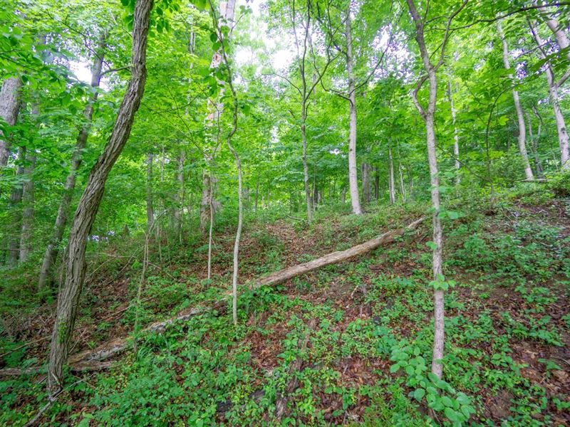 TR 158, 21 Acres, Lawrence County : Chesapeake : Lawrence County : Ohio