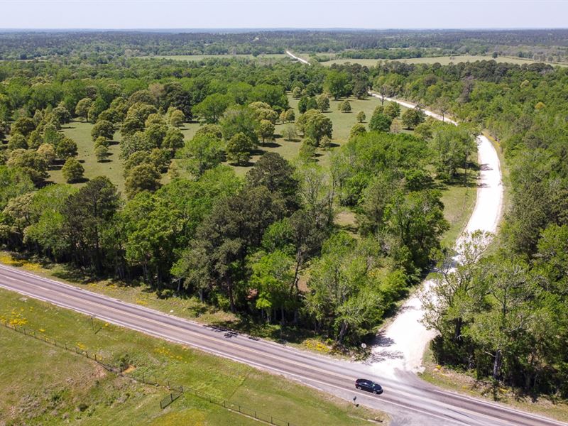 Possum Walk Ranchettes T-6, 12.6 Ac : Huntsville : Walker County : Texas