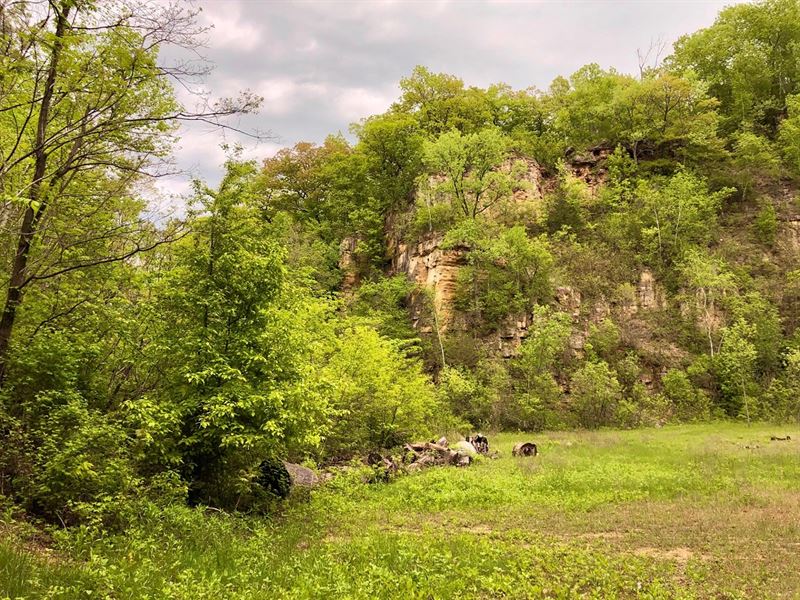 9 Acres, Winona County : Winona : Winona County : Minnesota