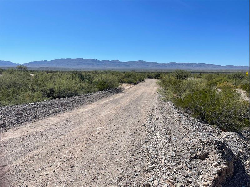 Riverview/Road Frontage Texas Rio : Van Horn : Hudspeth County : Texas