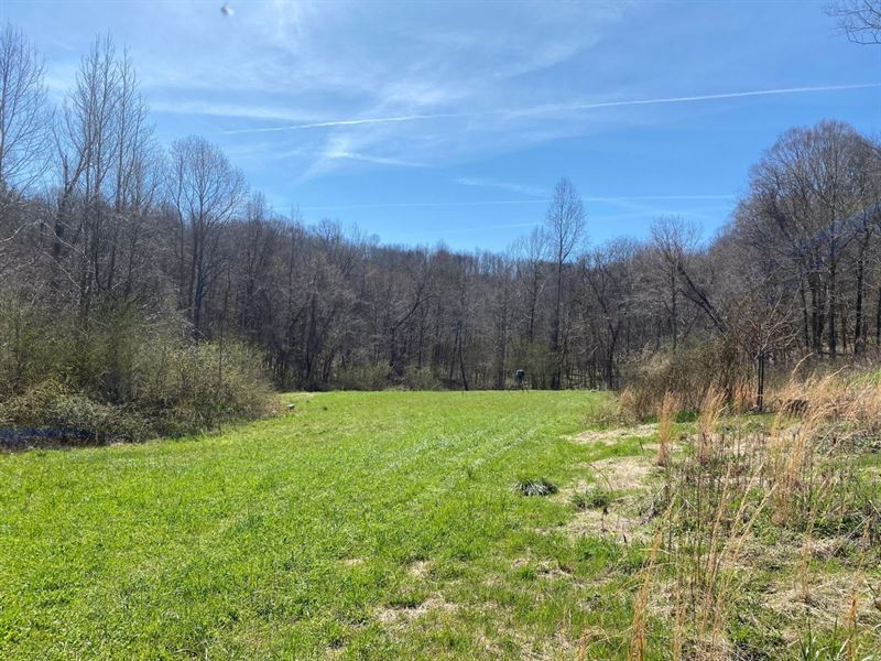 240 Acres of Exceptional Franklin : Russellville : Franklin County : Alabama