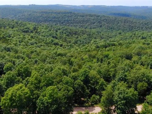 Homestead Friendly 5 Acres : Gainesville : Ozark County : Missouri