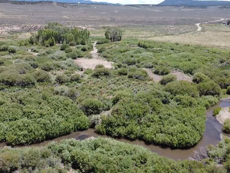 Camp Next to The Creek Here : Fort Garland : Costilla County : Colorado