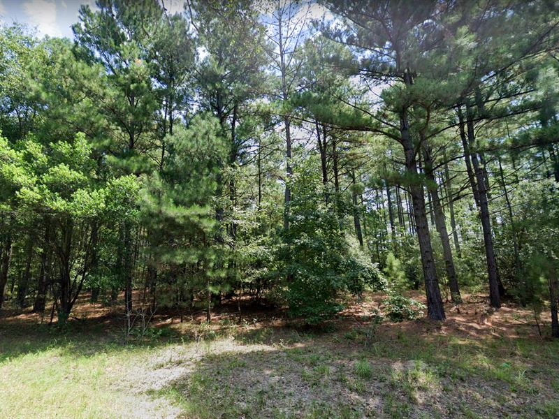 Multiple Homes Allowed, Fsbo : North : Orangeburg County : South Carolina