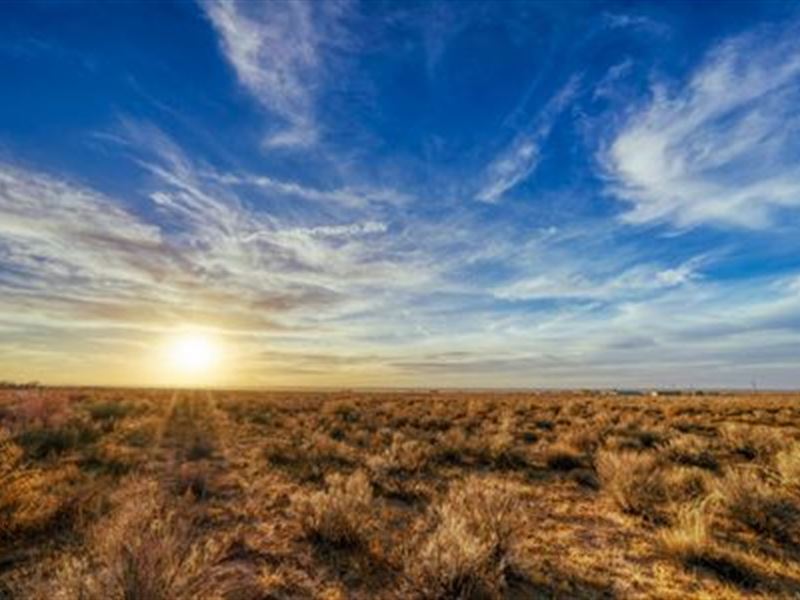 Land for Sale in Luna County, NM : Akela : Luna County : New Mexico
