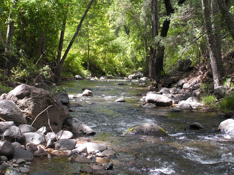 Ash Creek Canyon : Seneca : Gila County : Arizona