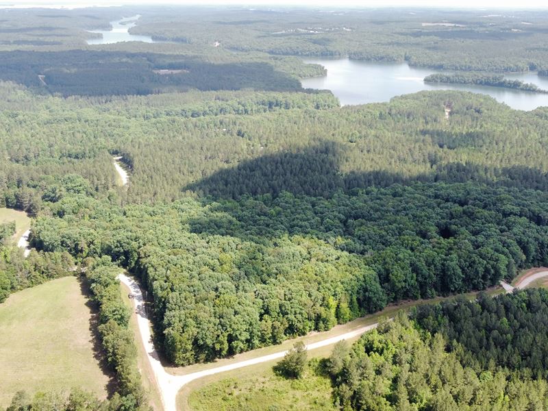 Lake Russell Hardwoods Tract : Elberton : Elbert County : Georgia